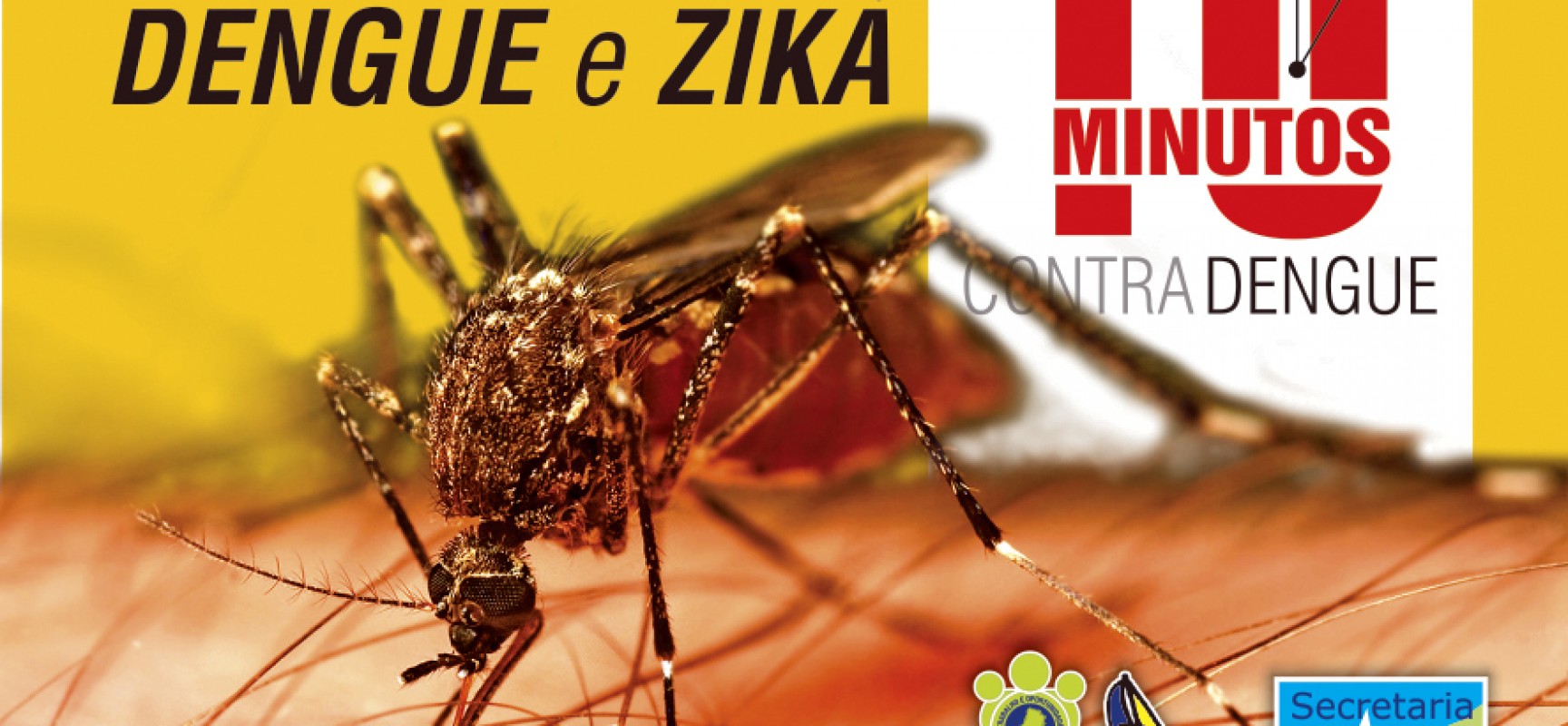 Prefeitura de Ilhabela realiza campanha “10 Minutos”   contra doenças transmitidas pelo mosquito Aedes aegypti