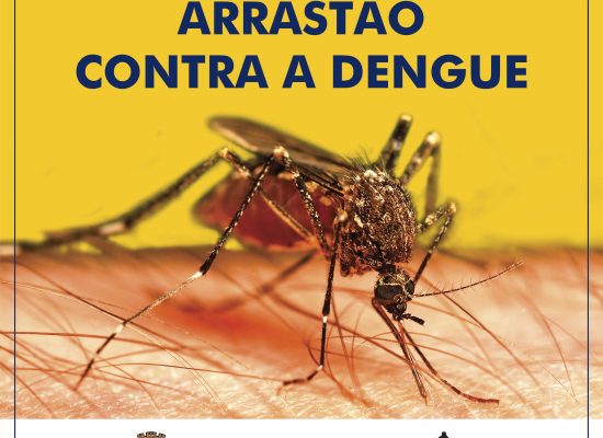 Ilhabela realizará neste sábado arrastão para combater focos do mosquito transmissor da Dengue, Zika e Chikungunya
