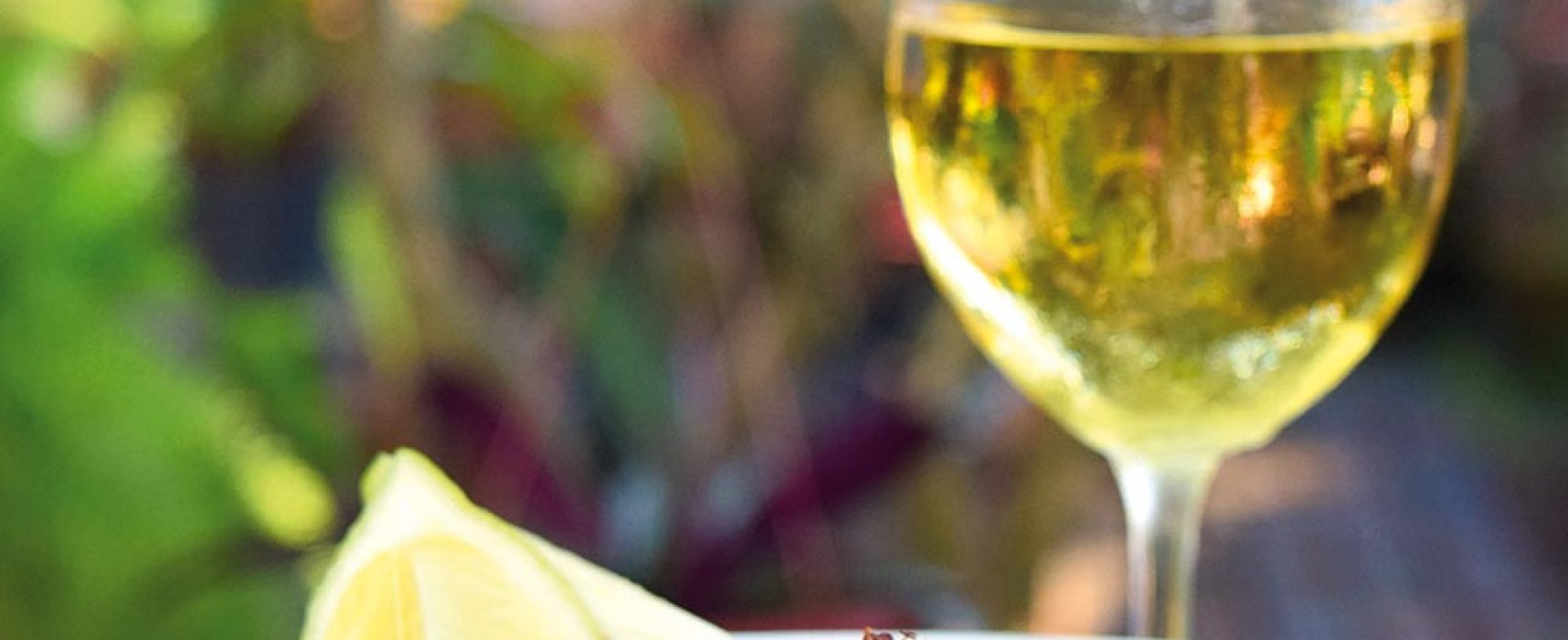 Bolinho de Bacalhau com uma taça de vinho branco no jardim do Donnabella